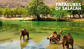 Treasures Of Salalah